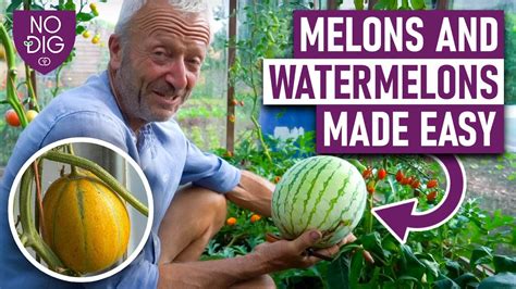 menlons tube|Free Melons Tube Porn Videos